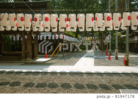 滋賀県の多賀大社境内に飾られた万灯祭の提灯 81947178