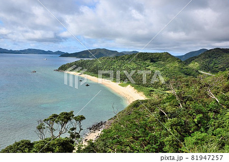 奄美大島　波打ち際の美しい鯨浜 81947257