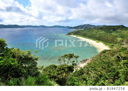 奄美大島　波打ち際の美しい鯨浜 81947258