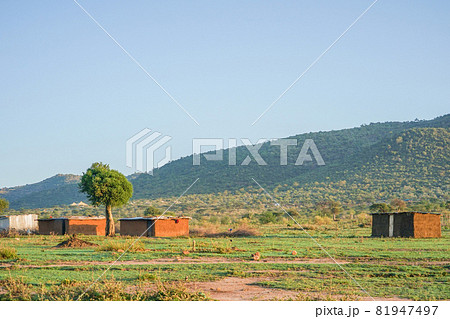 マサイ族の村 81947497