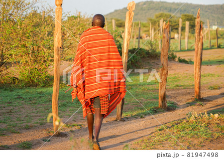 マサイ族 81947498