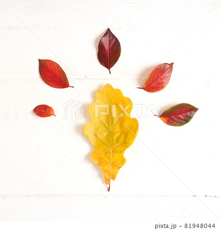 Decorative pattern of red-green leaves on an abstract light wood texture. Natural background, smooth surface, top view. High quality photo 81948044