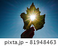 Sun shining through the heart shape in a yellow leaf 81948463