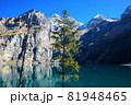 Panoramic view of Oeschinensee lake in Switzerland. 81948465