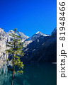 Panoramic view of Oeschinensee lake in Switzerland. 81948466
