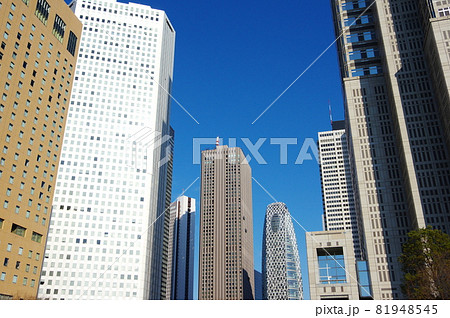 西新宿の高層ビル群（東京都新宿区） 81948545