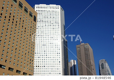 西新宿の高層ビル群(東京都新宿区) 西新宿の高層ビル群(東京都新宿区) 81948546