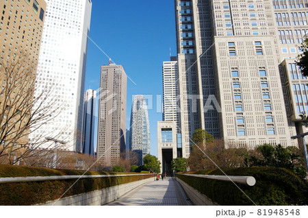 西新宿の高層ビル群(東京都新宿区) 西新宿の高層ビル群(東京都新宿区) 81948548
