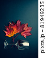 Red wine glass and grape leaves autumn composition 81949235