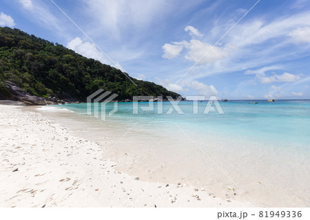 Beautiful nature of the islands in the Andaman Sea at Similan Islands, Mu Ko Similan National Park 81949336