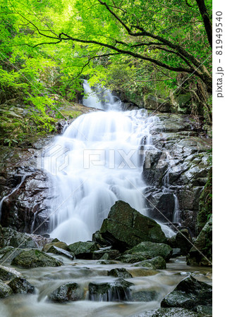 夏の千寿院の滝　福岡県糸島市 81949540
