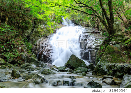夏の千寿院の滝 福岡県糸島市 夏の千寿院の滝 福岡県糸島市 81949544