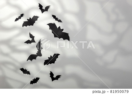 Halloween decoration concept - black paper bats and scary trees shadows background Halloween decoration concept - black paper bats and scary trees shadows background 81950079