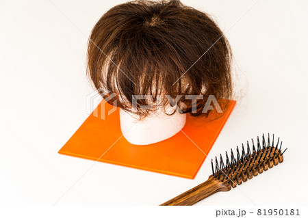 ヘアピース手入れ 女性用ヘアケア用品 ヘアピース手入れ 女性用ヘアケア用品 81950181