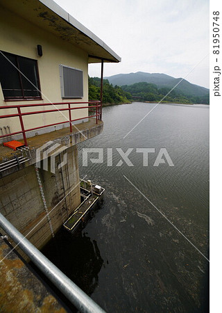 菅平ダムの様子 81950748