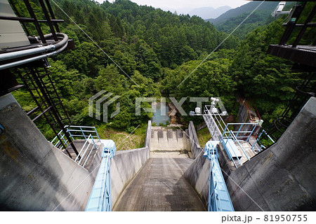 菅平ダムの様子 81950755