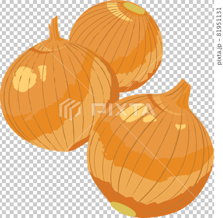 Hand-painted illustration of fresh vegetables Hand-painted illustration of fresh vegetables 81951131