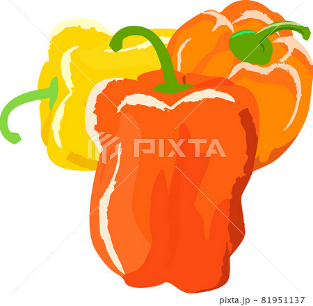 新鮮な野菜の手描き風イラストのイラスト素材