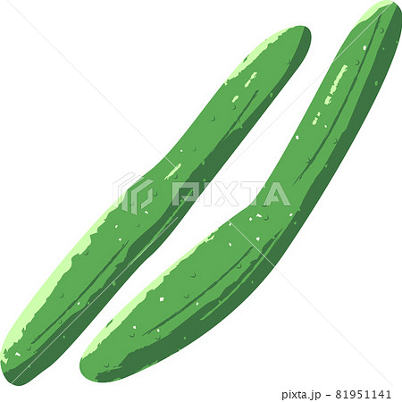 新鮮な野菜の手描き風イラスト 胡瓜のイラスト素材