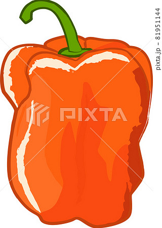 新鮮な野菜の手描き風イラストのイラスト素材