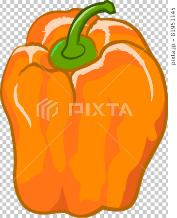 新鮮蔬菜的手繪插圖 81951145
