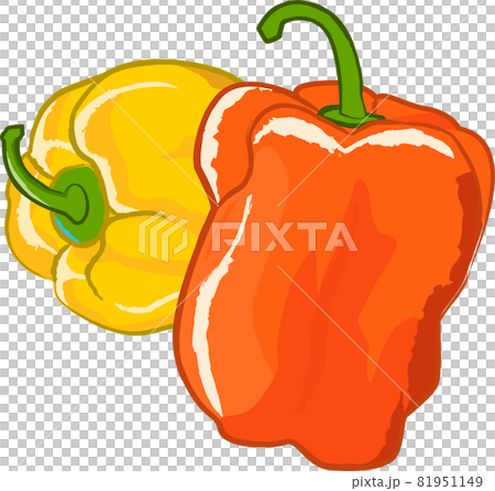 新鮮な野菜の手描き風イラストのイラスト素材