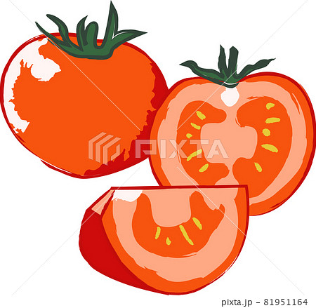 新鮮な野菜の手描き風イラストのイラスト素材