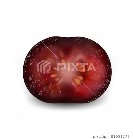 Blueberry Huckleberry Vitamin Cut Berry Vector 81951272