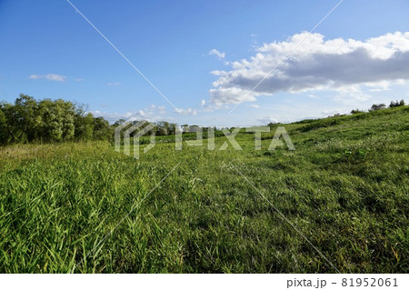 石狩川の河川敷・たっぷ大橋付近 81952061