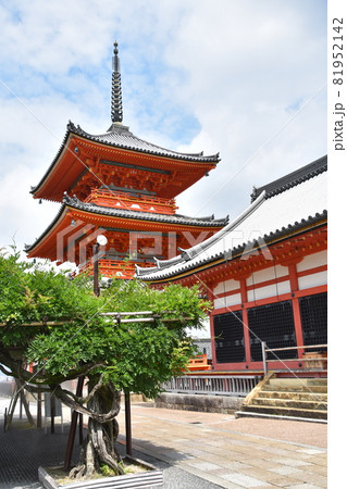 夏の清水寺　三重塔 81952142