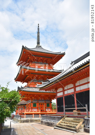 夏の清水寺 三重塔 夏の清水寺 三重塔 81952143