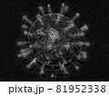 ウイルスイメージ（モノクロ・白黒） 81952338