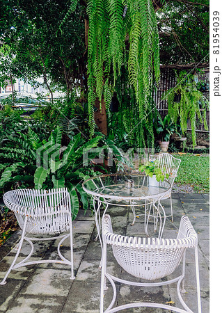 Detail of old vintage furniture in garden 81954039