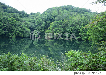 【青森・白神山地】十二湖　落口の池 81954249