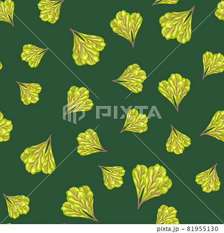 Seamless pattern bunch mangold salad on teal background. Modern ornament with lettuce 81955130