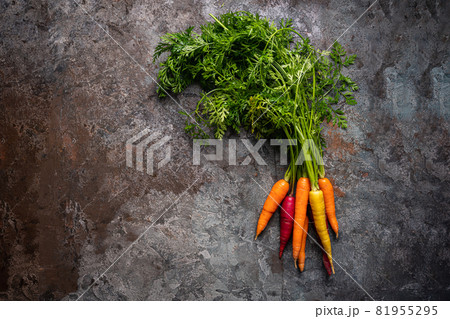 Colorful Rainbow carrot 81955295