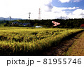 福島県南相馬市　田んぼ 81955746