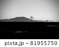 岩手県陸前高田市　奇跡の一本松 81955750