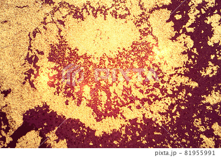 Shining gold and maroon marble pattern with golden dust Shining gold and maroon marble pattern with golden dust 81955991