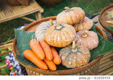 carrot and pumpkin. fresh vegetables on the green leaf. carrot and pumpkin. fresh vegetables on the green leaf. 81956459