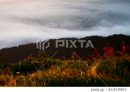 熊本県阿蘇市のかぶと岩展望所から見下ろす周辺の町並 81959902