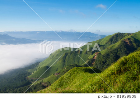 熊本県阿蘇市の雲海と緑の山肌 81959909