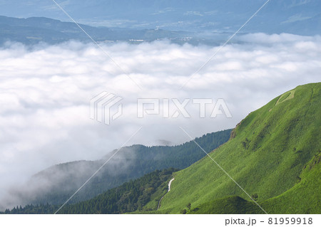 熊本県阿蘇山の雲海と緑の山肌 81959918