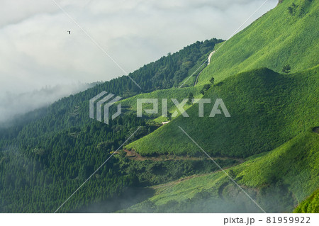 熊本県阿蘇山の朝の一風景 81959922