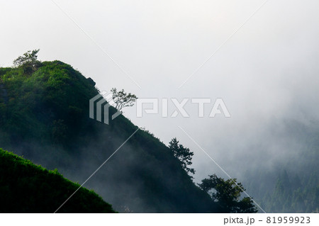 熊本県阿蘇山の朝の一風景 熊本県阿蘇山の朝の一風景 81959923