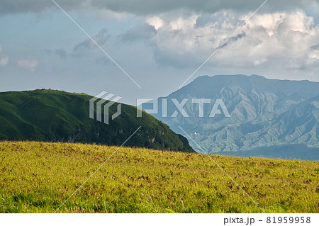 遠くから見た阿蘇の大観峰 81959958