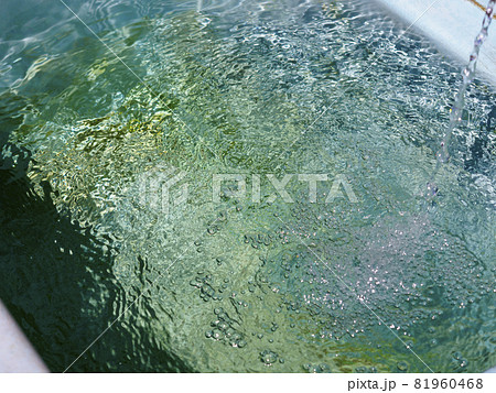 水槽に貯められた綺麗な湧き水 水槽に貯められた綺麗な湧き水 81960468