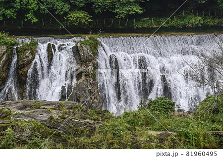 長篠堰堤(新城版ナイアガラの滝) 長篠堰堤(新城版ナイアガラの滝) 81960495
