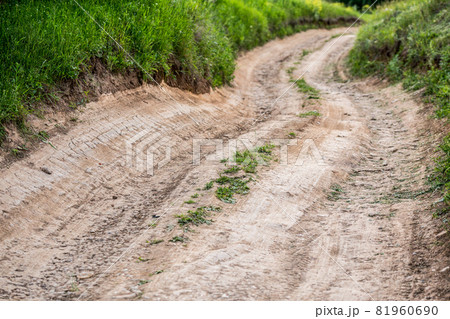 dry summer dirt road closeup with selective focus 81960690
