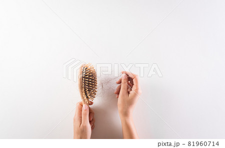 Healthcare problem concept. Woman hand holding hair loss or hair fall in comb on white background. 81960714